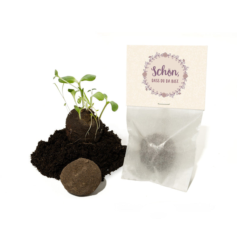 10x1 Seed Bomb in a Sachet – Wedding Favor — Ansicht 2