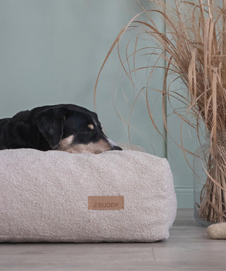 BUDDY. Hundebett - LeFluff - aus recycelten Materialien