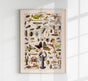 Arthropodes Chart Larousse Poster - Scientific Insect Wall Chart