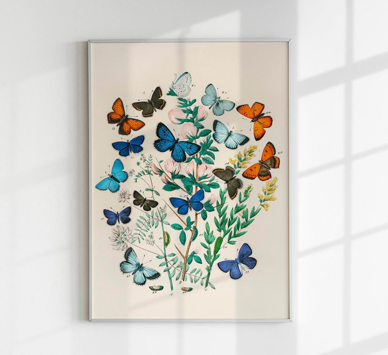 Colorful Butterflies Poster - Art print with UV-resistant pigments — Patroa Studio