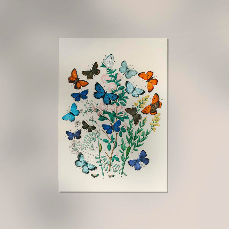 Colorful Butterflies Poster - Art print with UV-resistant pigments — Ansicht 2