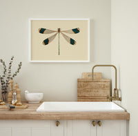 Dragonfly – Poster | Fine Art Print | Zarte Insektenillustration — Ansicht 2