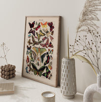 Papillons Chart Larousse Poster – Butterflies Art Print — Ansicht 2