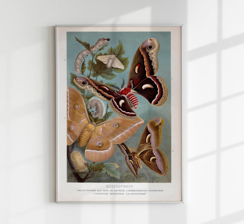 Golden Silk Moths Poster – Archival paper, Berlin — Patroa Studio