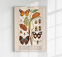 Insects with Camouflage I Poster – Chromolithographie von Patroa Studio