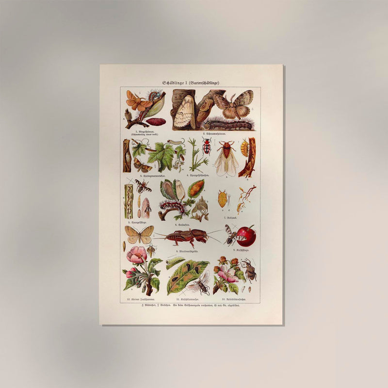 Plant Pests I Poster – Wissenschaftliche Illustration von Patroa Studio — Ansicht 2
