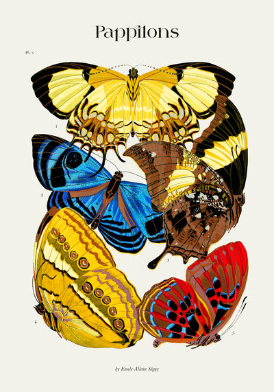 Pappilons by Séguy Art Poster – Art Print Butterflies
