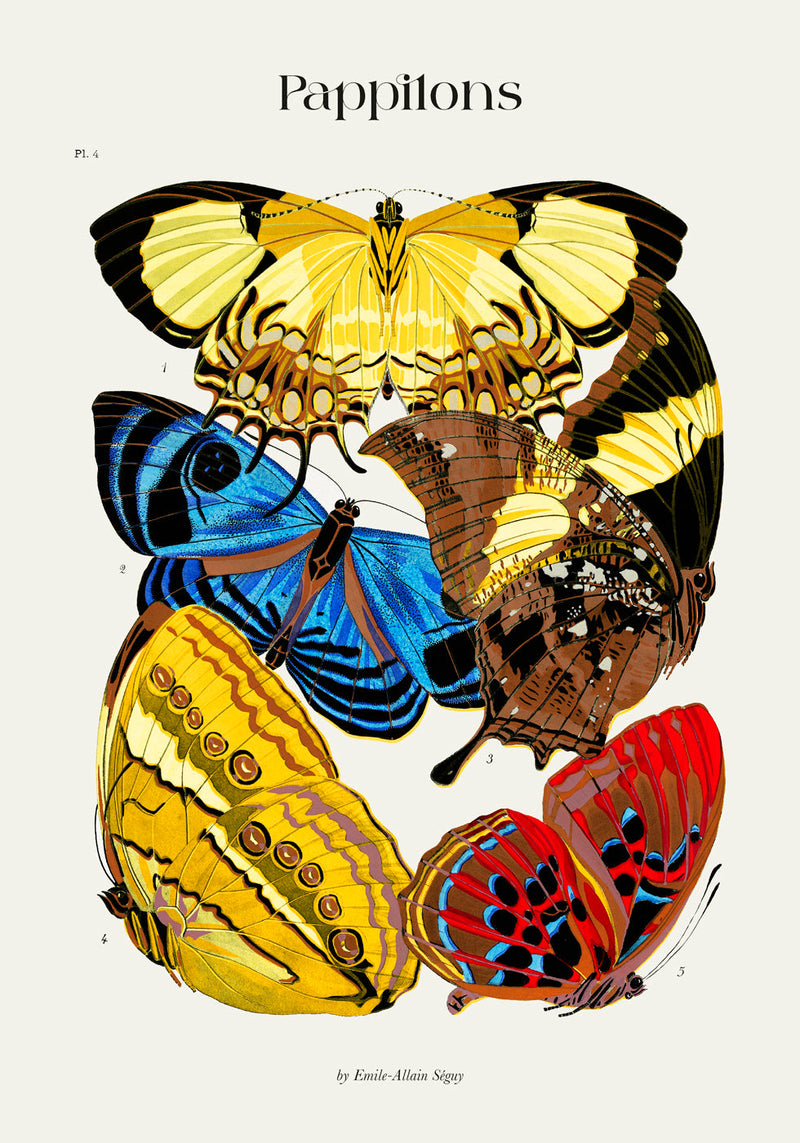 Pappilons by Séguy Art Poster – Art Print Butterflies — Ansicht 4