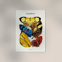 Pappilons by Séguy Art Poster – Art Print Butterflies — Ansicht 3