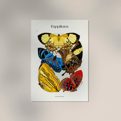 Pappilons by Séguy Art Poster – Art Print Butterflies