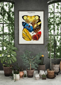 Pappilons by Séguy Art Poster – Art Print Butterflies — Ansicht 2