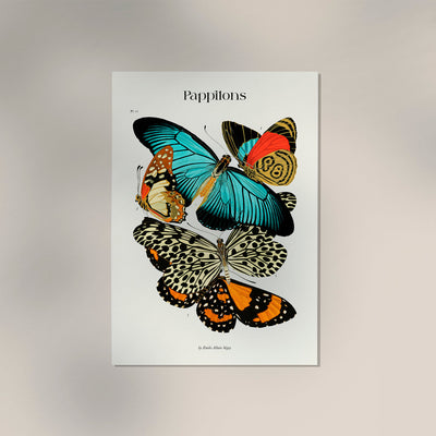 Pappilons plate 11 by Séguy Art Poster – Kunstdruck Schmetterlinge
