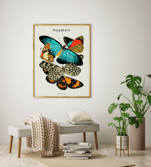 Pappilons plate 11 by Séguy Art Poster – Kunstdruck Schmetterlinge
