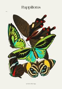 Pappilons Plate 1 by Séguy Art Poster – Kunstdruck Berlin — Ansicht 3