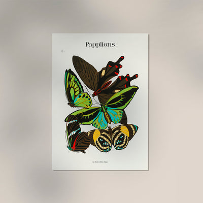 Pappilons Plate 1 by Séguy Art Poster – Kunstdruck Berlin