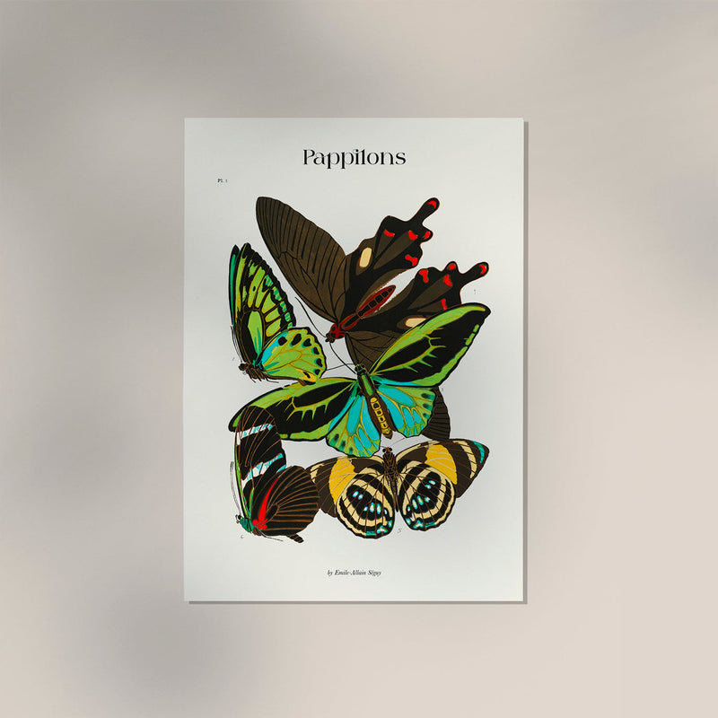 Pappilons Plate 1 by Séguy Art Poster – Kunstdruck Berlin — Ansicht 2