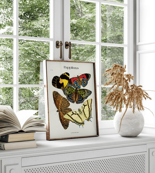 Pappilons plate 12 by Séguy Art Poster – Butterflies Art Print