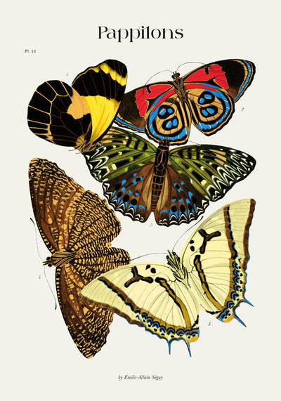 Pappilons plate 12 by Séguy Art Poster – Butterflies Art Print