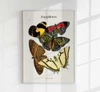 Pappilons plate 12 by Séguy Art Poster – Butterflies Art Print — Ansicht 1