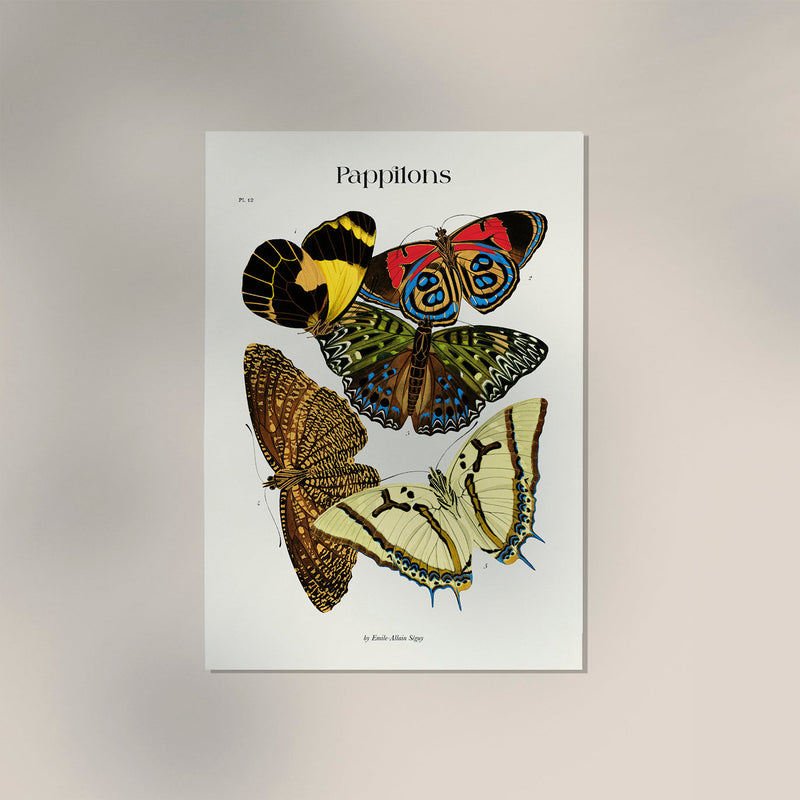 Pappilons plate 12 by Séguy Art Poster – Butterflies Art Print — Ansicht 3