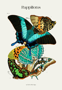 Papillons Plate 13 Art Print - UV-resistant Butterfly Print on Fine Art Paper — Ansicht 4