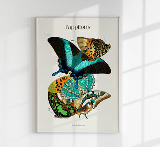 Papillons Plate 13 Art Print - UV-resistant Butterfly Print on Fine Art Paper
