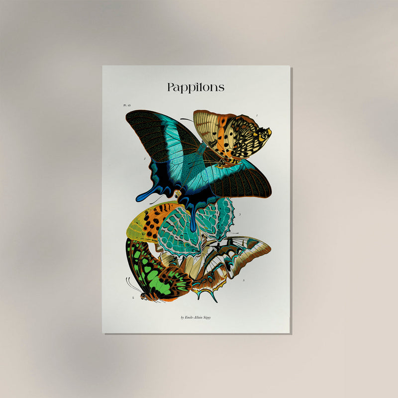Papillons Plate 13 Art Print - UV-resistant Butterfly Print on Fine Art Paper — Ansicht 3