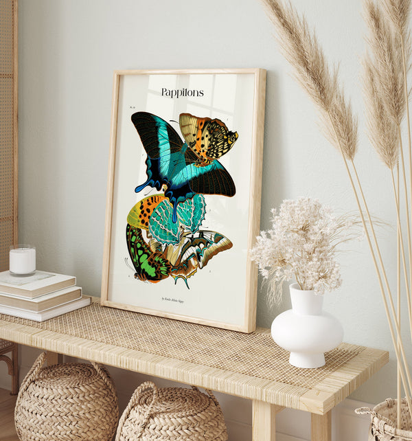 Papillons Plate 13 Art Print - UV-resistant Butterfly Print on Fine Art Paper