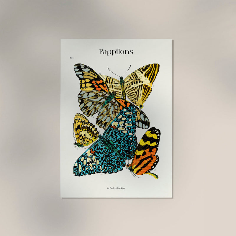 Pappilons Plate 3 by Séguy Art Poster – Archival Print Berlin — Ansicht 2