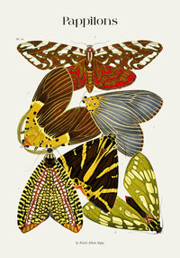 Pappilons plate 14 Kunstdruck – Schmetterlinge Séguy Art Poster — Ansicht 4