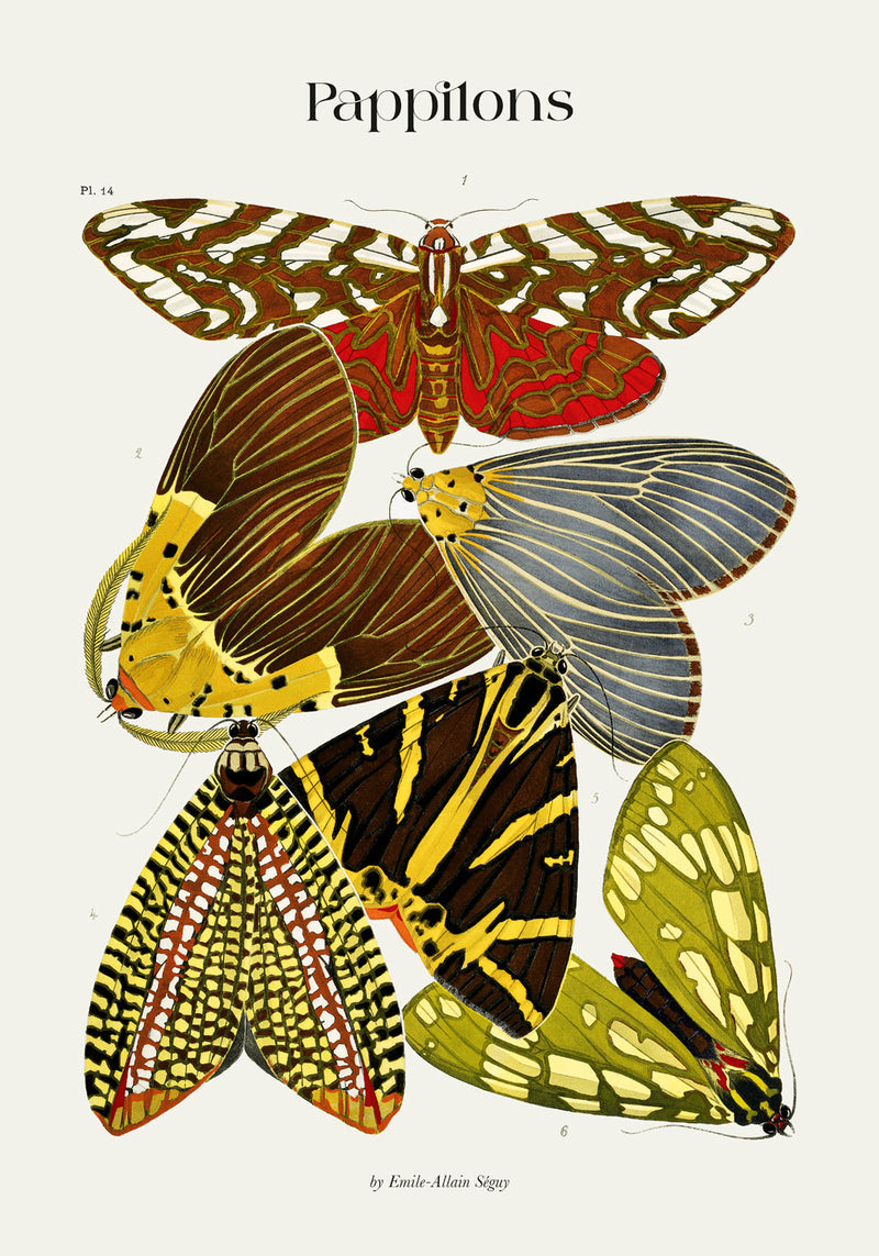 Pappilons plate 14 Kunstdruck – Schmetterlinge Séguy Art Poster — Ansicht 4