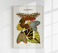 Pappilons plate 14 Kunstdruck – Schmetterlinge Séguy Art Poster — Ansicht 1