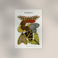 Pappilons plate 14 Kunstdruck – Schmetterlinge Séguy Art Poster — Ansicht 3
