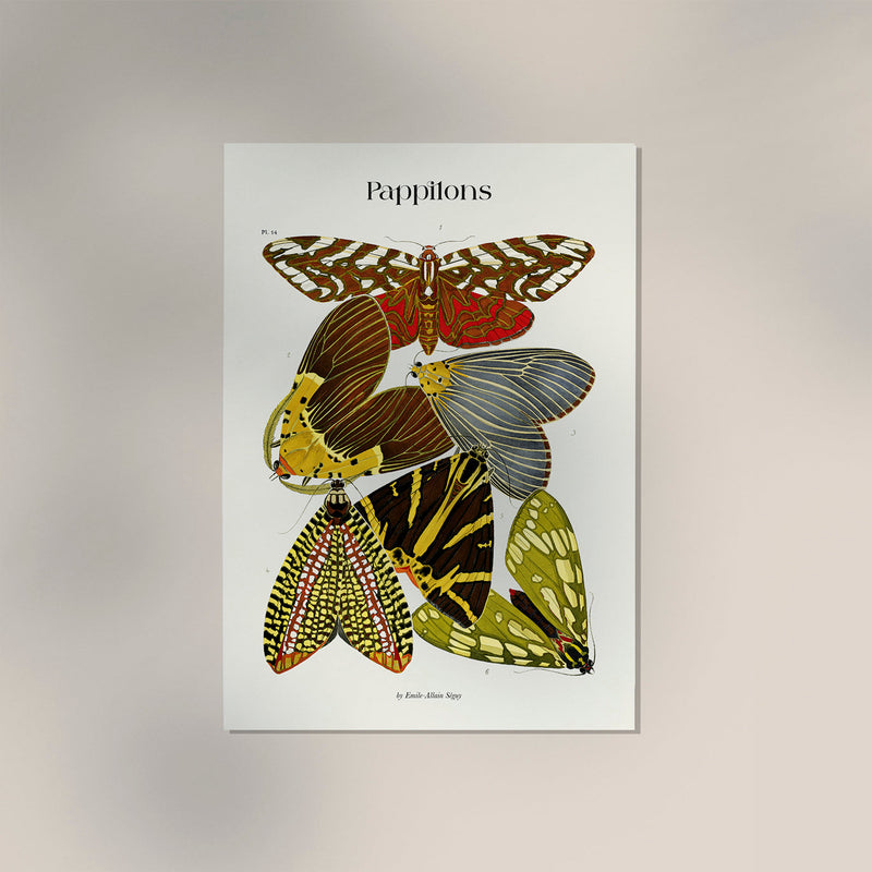 Pappilons plate 14 Kunstdruck – Schmetterlinge Séguy Art Poster — Ansicht 3