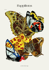 Papillons plate 15 by Séguy Art Poster – Butterflies Art Print — Ansicht 3