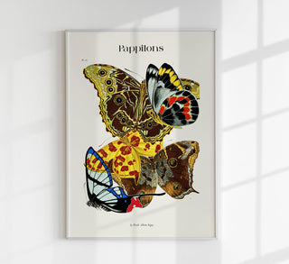 Pappilons plate 15 by Séguy Art Poster – Schmetterlinge Kunstdruck