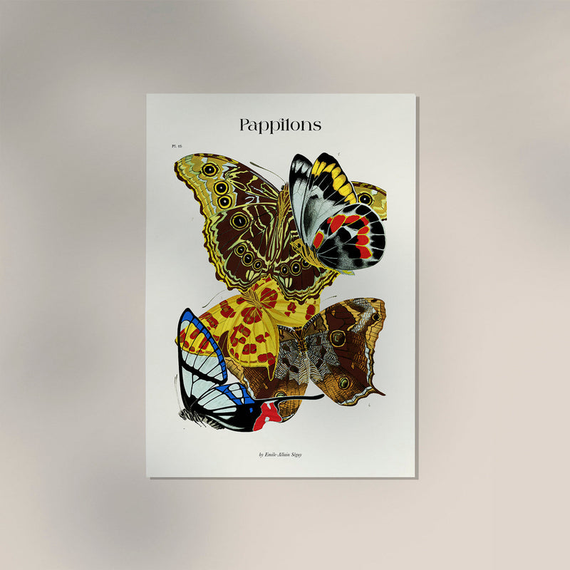 Papillons plate 15 by Séguy Art Poster – Butterflies Art Print — Ansicht 4
