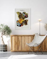 Papillons plate 15 by Séguy Art Poster – Butterflies Art Print — Ansicht 2