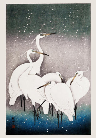 5 White Egrets in the Snow – Koson | Fine Art | Canvas