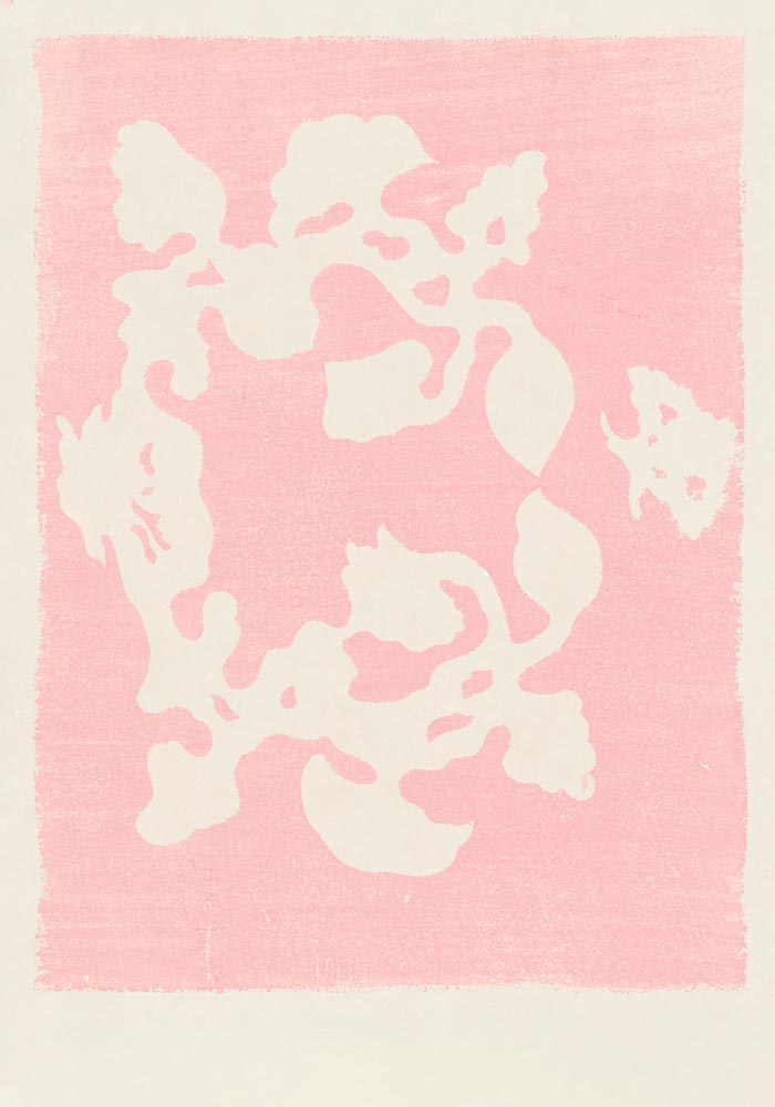 Pink Woodblock Pattern by Taguchi Tomoki – Japanisches Design Kunstdruck | UV-beständig | Fine Art Print — Ansicht 3