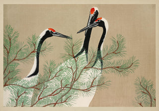 Cranes from Momoyogusa – Fine Art Print | Japanische Kunstposter | Elegante Kranichstudie