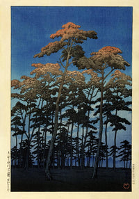 Hikawa Park in Ōmiya – Fine Art Print UV-resistant | Patroa Studio — Ansicht 3