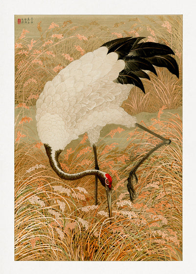 Sarus Crane in Rice Field – Fine Art Print | Japanische Kunst | UV-beständig
