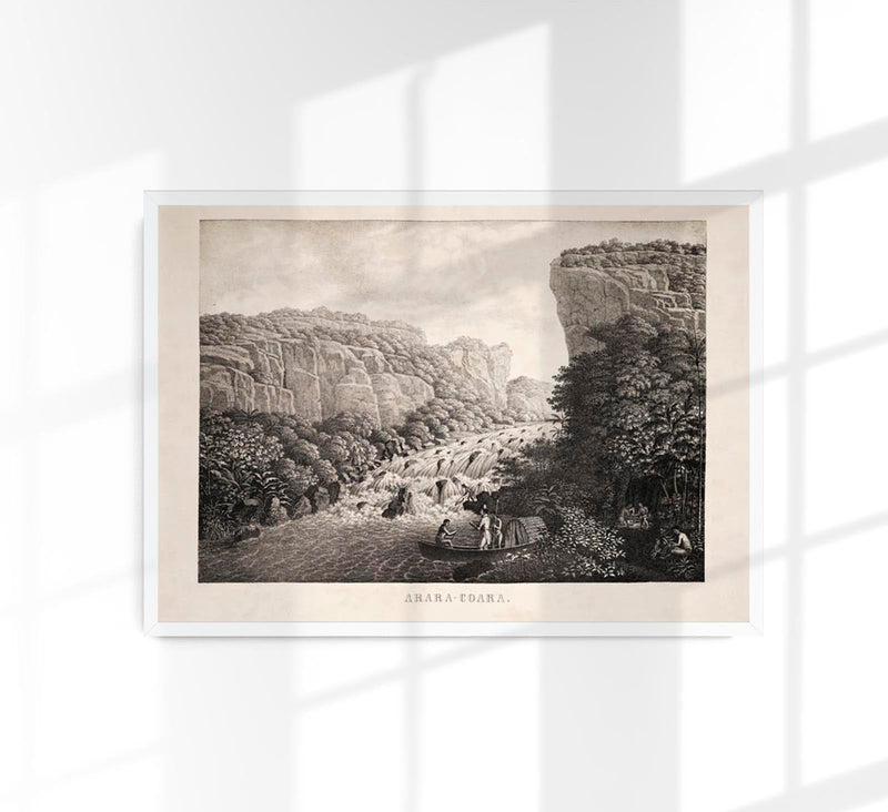 Arara Coara Vintage Jungle Landscape Poster – Kunstdruck Berlin — Patroa Studio