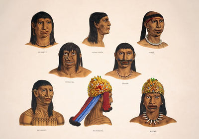 Chart Indigenous Poster – Vintage Fine Art Print | Ethno-Ästhetik | A3–A0