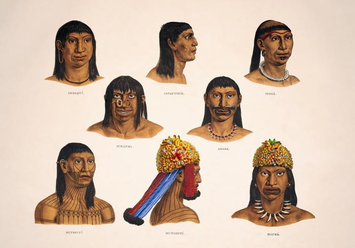 Chart Indigenous Poster – Vintage Fine Art Print | Ethno-Ästhetik | A3–A0 — Ansicht 3