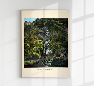 Chamaedorea Colorful Jungle Scene Vintage Poster – Fine Art Canvas or Paper