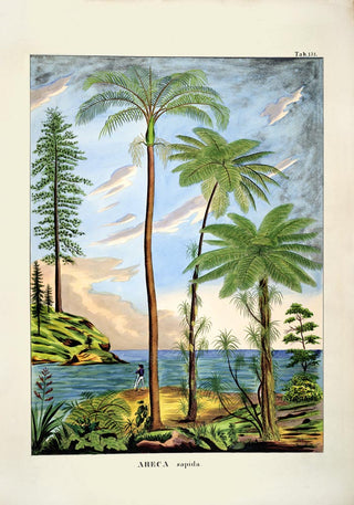 Areca Sapida Beach Scene Vintage Poster – Fine Art Print | Botanical & Coastal Art | UV‑resistent