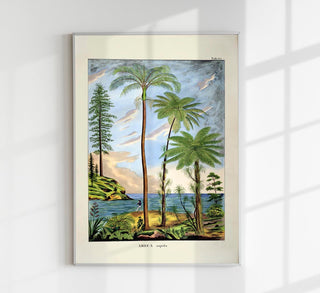 Areca Sapida Beach Scene Vintage Poster – Fine Art Print | Botanical & Coastal Art | UV‑resistent