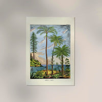 Areca Sapida Beach Scene Vintage Poster – Fine Art Print UV-resistent — Ansicht 2